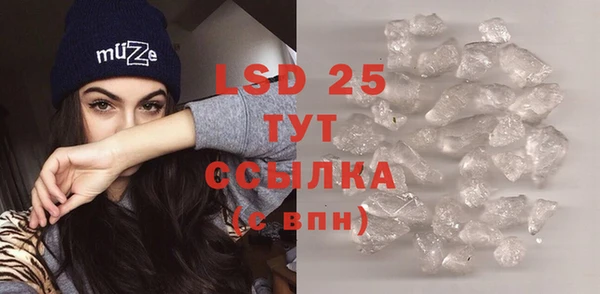 прущие грибы Ельня