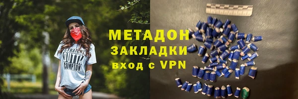 прущие грибы Ельня