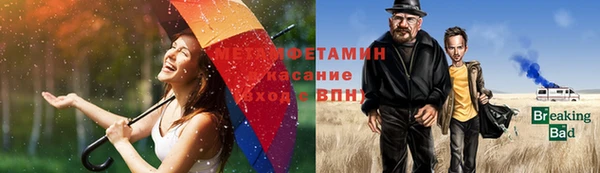 прущие грибы Ельня
