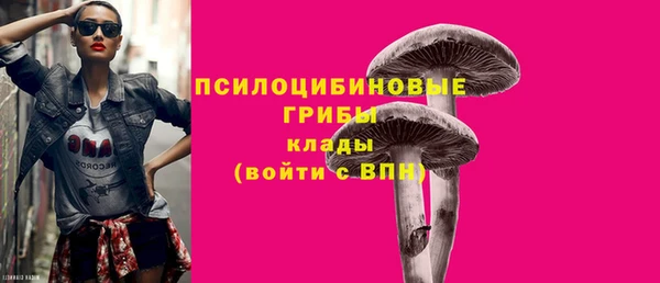 крисы Елизово