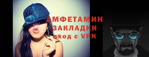 прущие грибы Ельня