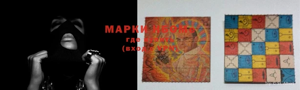 прущие грибы Ельня