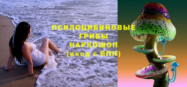 прущие грибы Ельня