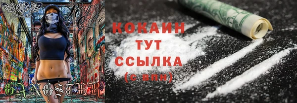 крисы Елизово