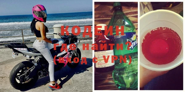 прущие грибы Ельня