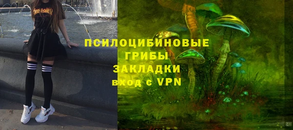 крисы Елизово