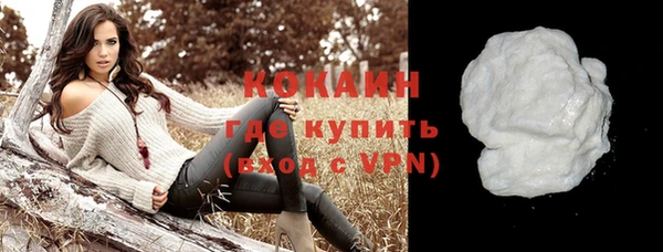 прущие грибы Ельня
