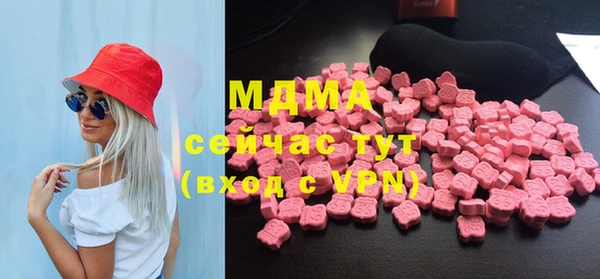 прущие грибы Ельня
