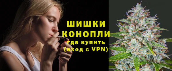 крисы Елизово