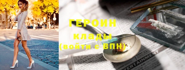 прущие грибы Ельня