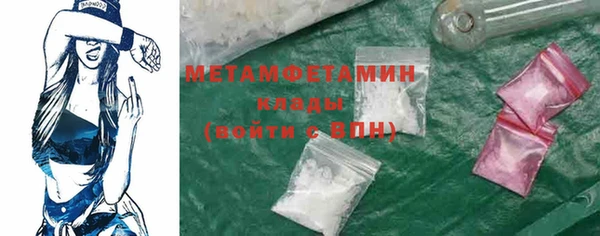 прущие грибы Ельня