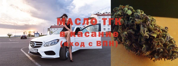 прущие грибы Ельня