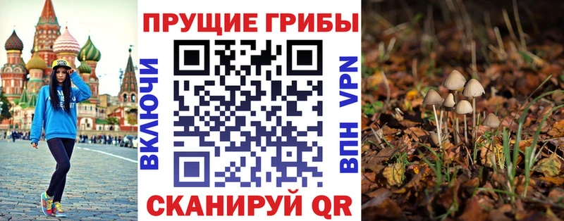 Купить где  Макушино  Псилоцибиновые грибы ЛСД 
